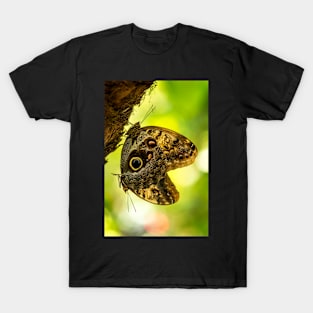 Twin Butterflies on a Tree T-Shirt